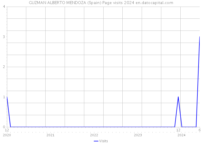 GUZMAN ALBERTO MENDOZA (Spain) Page visits 2024 
