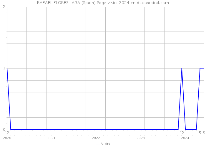 RAFAEL FLORES LARA (Spain) Page visits 2024 