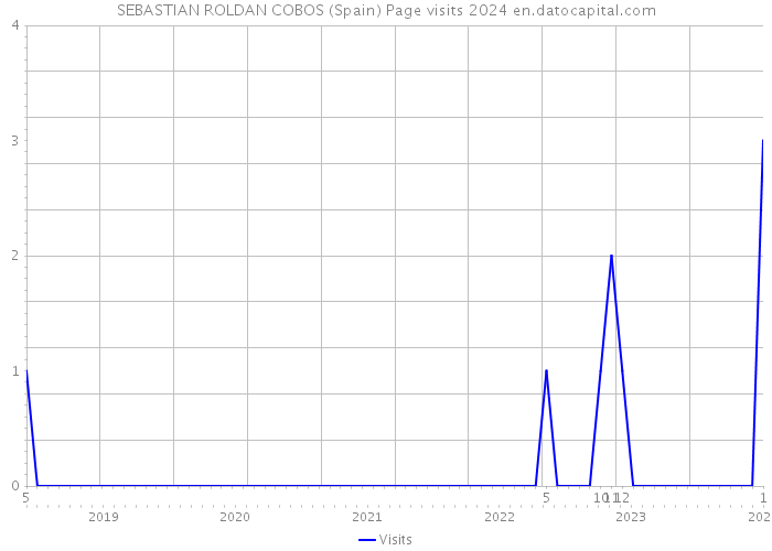 SEBASTIAN ROLDAN COBOS (Spain) Page visits 2024 