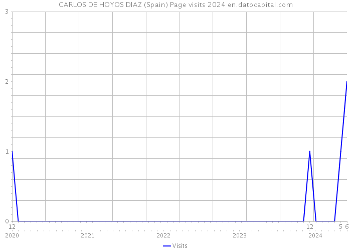 CARLOS DE HOYOS DIAZ (Spain) Page visits 2024 