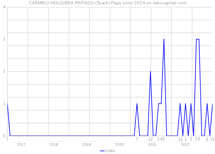 CARMELO HOLGUERA PINTADO (Spain) Page visits 2024 