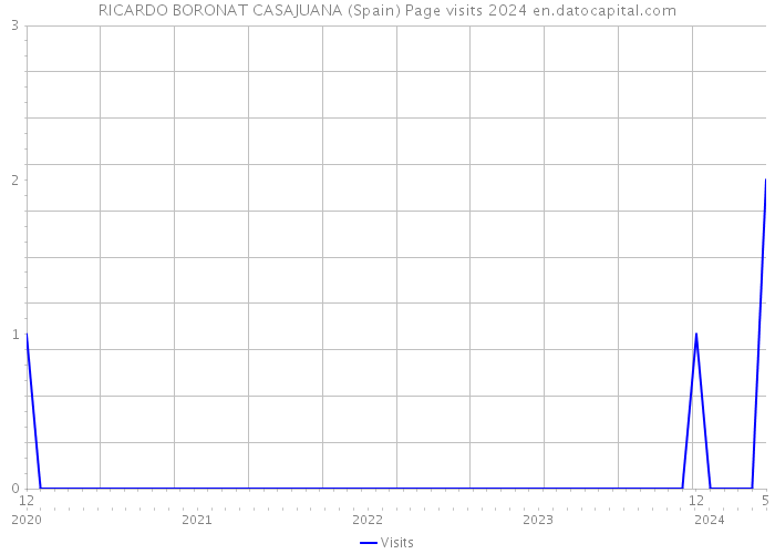 RICARDO BORONAT CASAJUANA (Spain) Page visits 2024 