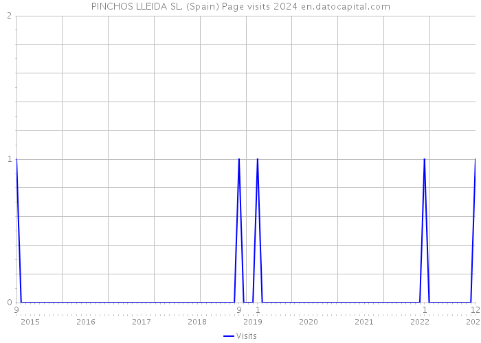 PINCHOS LLEIDA SL. (Spain) Page visits 2024 