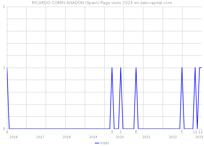RICARDO COMIN ANADON (Spain) Page visits 2024 