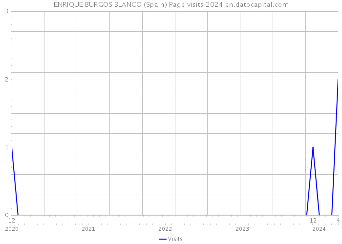 ENRIQUE BURGOS BLANCO (Spain) Page visits 2024 