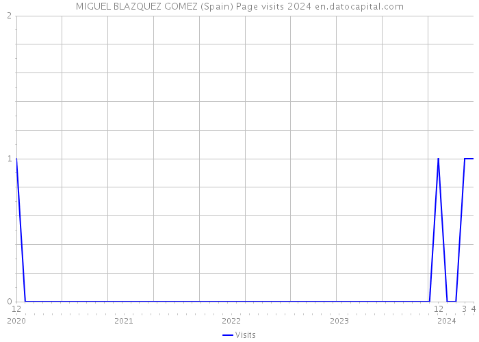 MIGUEL BLAZQUEZ GOMEZ (Spain) Page visits 2024 