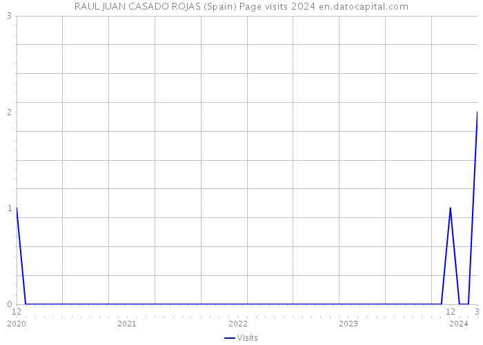 RAUL JUAN CASADO ROJAS (Spain) Page visits 2024 
