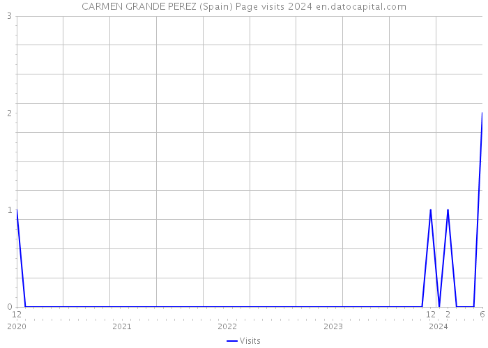 CARMEN GRANDE PEREZ (Spain) Page visits 2024 