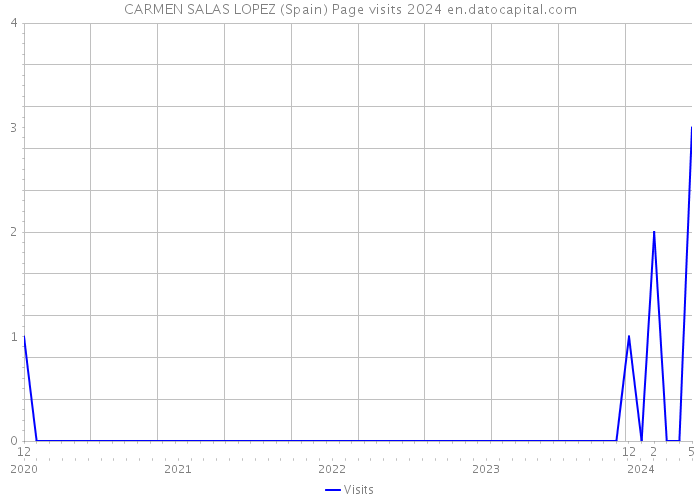 CARMEN SALAS LOPEZ (Spain) Page visits 2024 