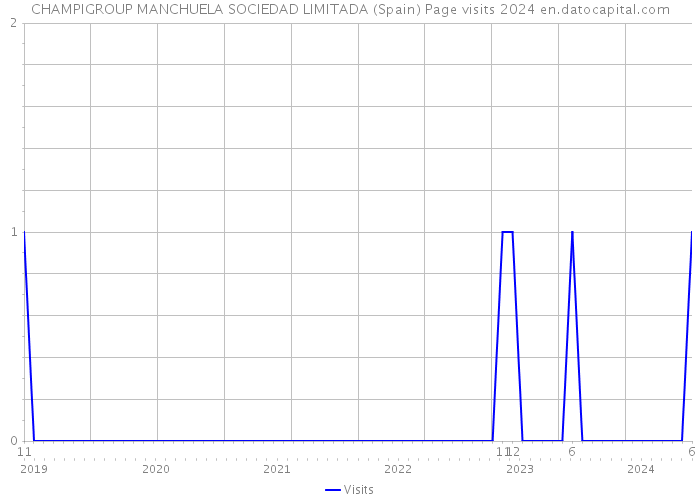 CHAMPIGROUP MANCHUELA SOCIEDAD LIMITADA (Spain) Page visits 2024 