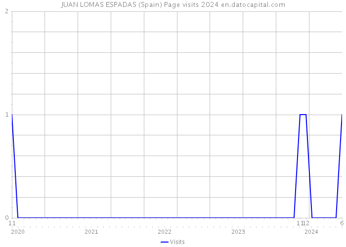 JUAN LOMAS ESPADAS (Spain) Page visits 2024 