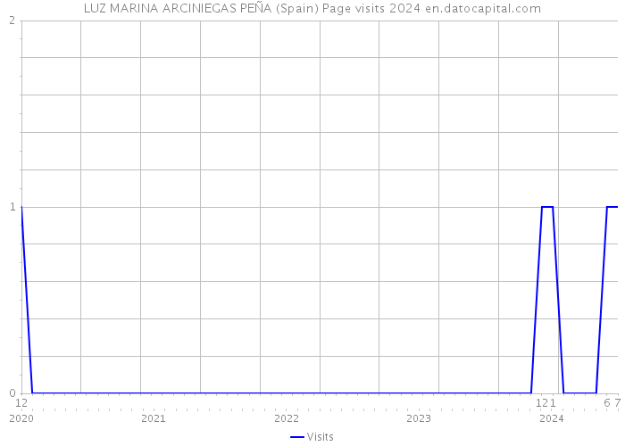 LUZ MARINA ARCINIEGAS PEÑA (Spain) Page visits 2024 