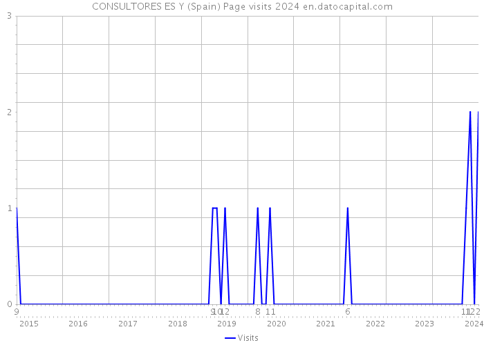 CONSULTORES ES Y (Spain) Page visits 2024 