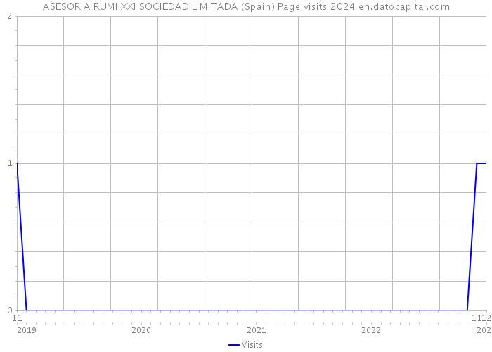 ASESORIA RUMI XXI SOCIEDAD LIMITADA (Spain) Page visits 2024 