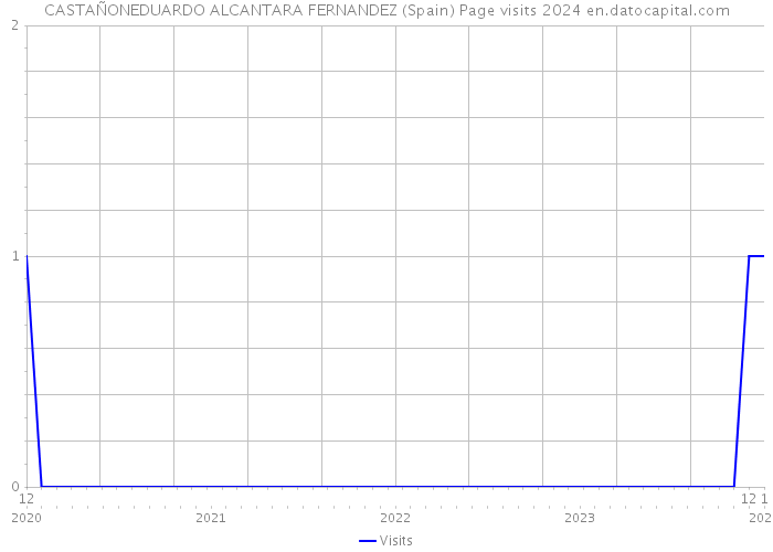 CASTAÑONEDUARDO ALCANTARA FERNANDEZ (Spain) Page visits 2024 