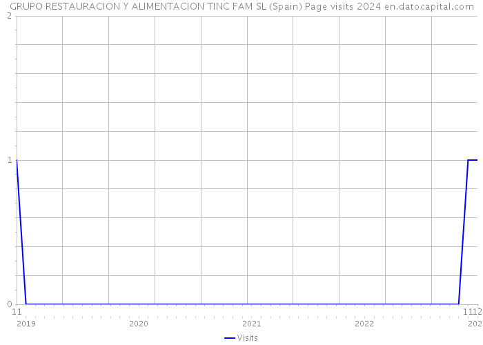 GRUPO RESTAURACION Y ALIMENTACION TINC FAM SL (Spain) Page visits 2024 