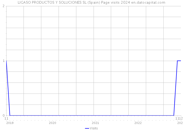 LIGASO PRODUCTOS Y SOLUCIONES SL (Spain) Page visits 2024 