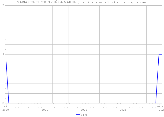MARIA CONCEPCION ZUÑIGA MARTIN (Spain) Page visits 2024 