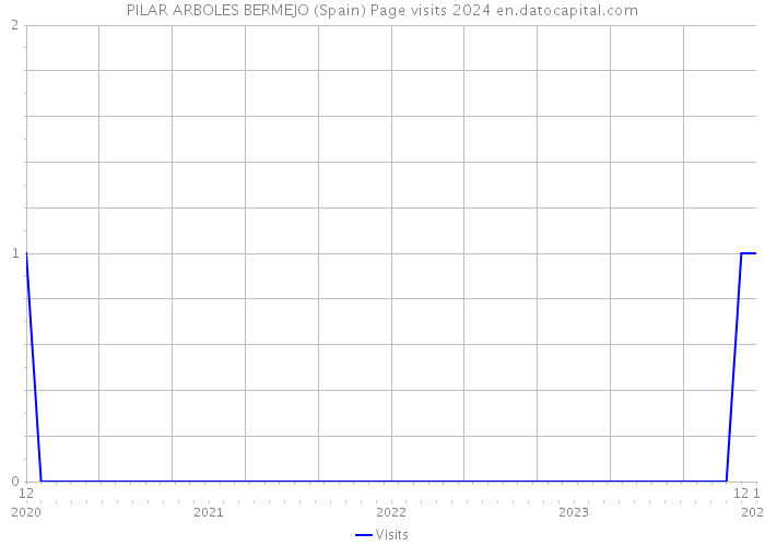PILAR ARBOLES BERMEJO (Spain) Page visits 2024 