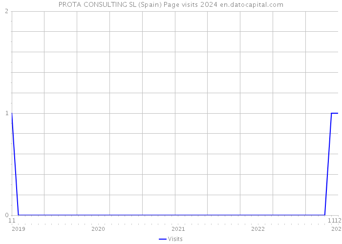 PROTA CONSULTING SL (Spain) Page visits 2024 