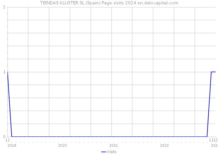 TIENDAS KLUSTER SL (Spain) Page visits 2024 