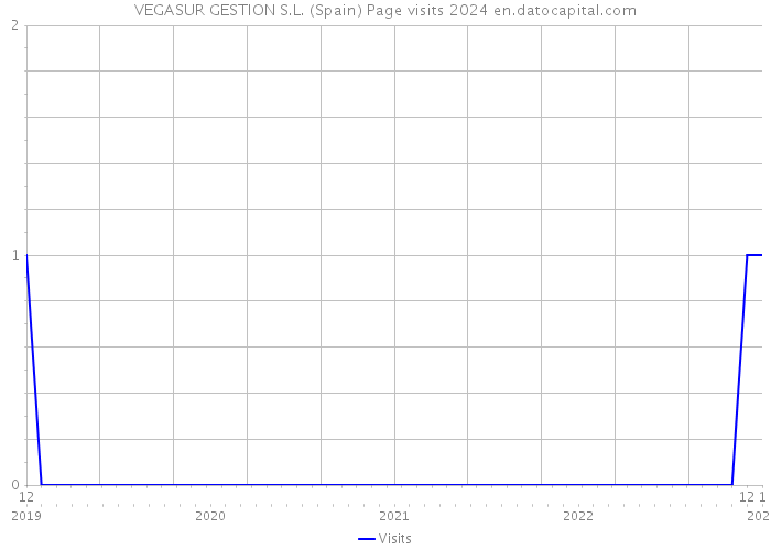 VEGASUR GESTION S.L. (Spain) Page visits 2024 