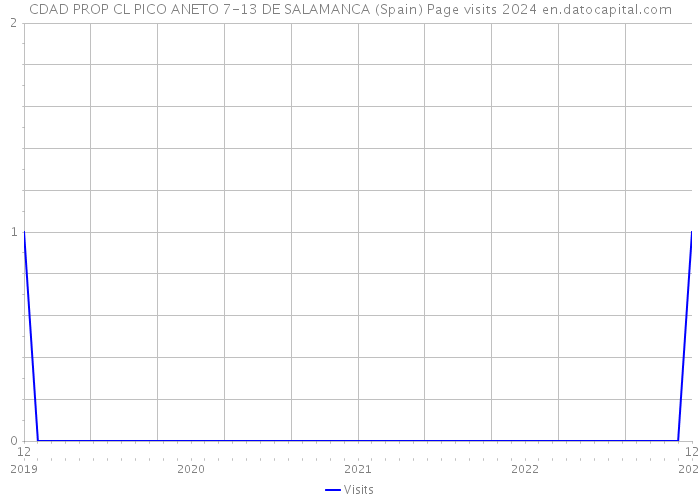 CDAD PROP CL PICO ANETO 7-13 DE SALAMANCA (Spain) Page visits 2024 