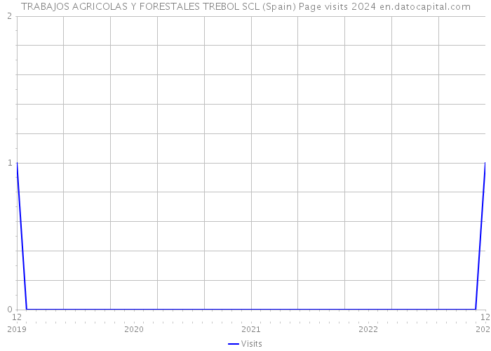 TRABAJOS AGRICOLAS Y FORESTALES TREBOL SCL (Spain) Page visits 2024 