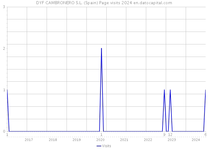 DYF CAMBRONERO S.L. (Spain) Page visits 2024 