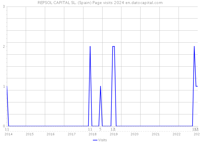 REPSOL CAPITAL SL. (Spain) Page visits 2024 