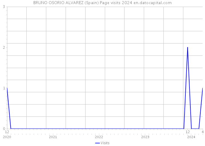 BRUNO OSORIO ALVAREZ (Spain) Page visits 2024 