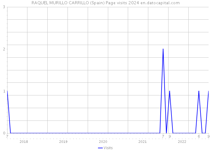 RAQUEL MURILLO CARRILLO (Spain) Page visits 2024 