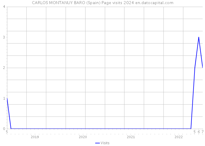 CARLOS MONTANUY BARO (Spain) Page visits 2024 