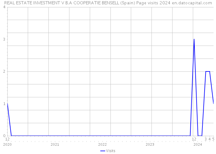 REAL ESTATE INVESTMENT V B.A COOPERATIE BENSELL (Spain) Page visits 2024 