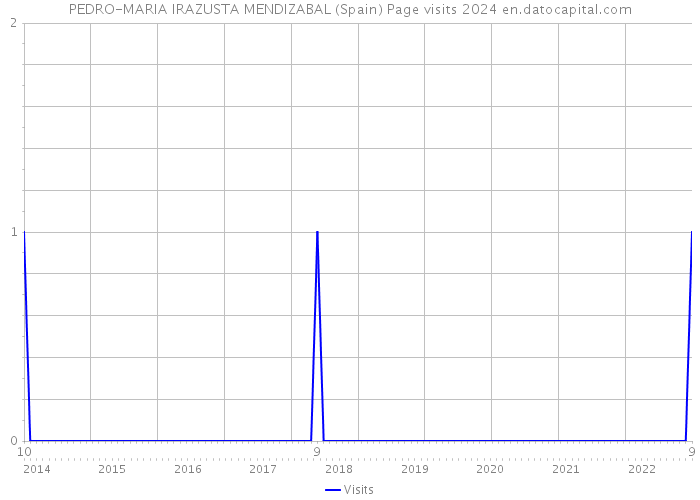 PEDRO-MARIA IRAZUSTA MENDIZABAL (Spain) Page visits 2024 