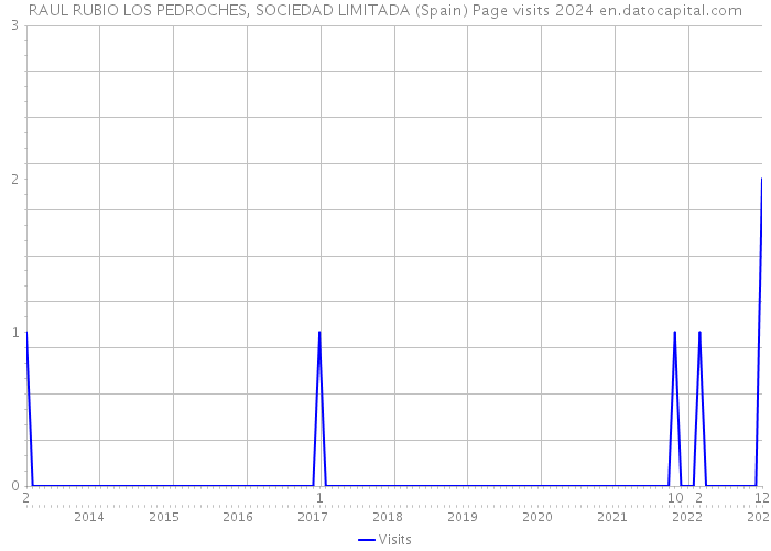 RAUL RUBIO LOS PEDROCHES, SOCIEDAD LIMITADA (Spain) Page visits 2024 