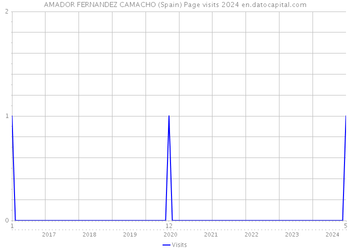 AMADOR FERNANDEZ CAMACHO (Spain) Page visits 2024 