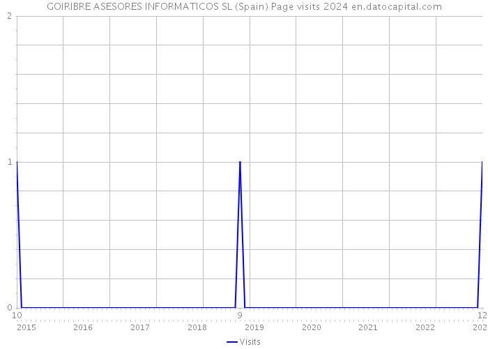 GOIRIBRE ASESORES INFORMATICOS SL (Spain) Page visits 2024 