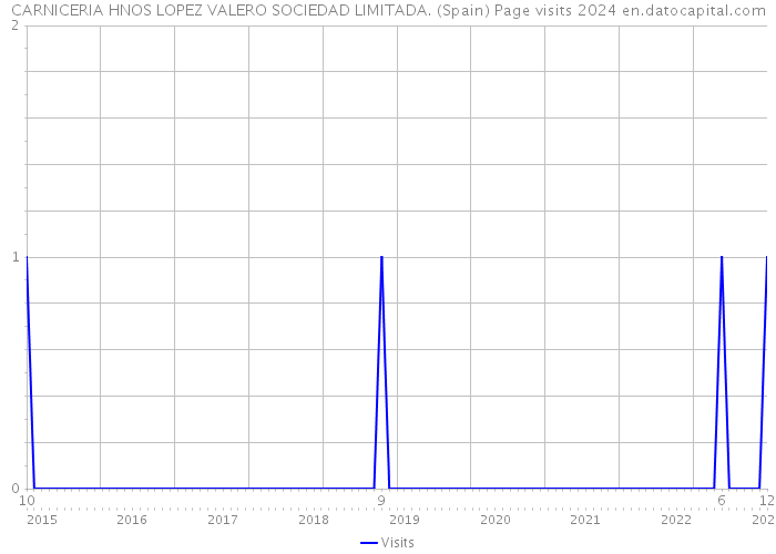 CARNICERIA HNOS LOPEZ VALERO SOCIEDAD LIMITADA. (Spain) Page visits 2024 