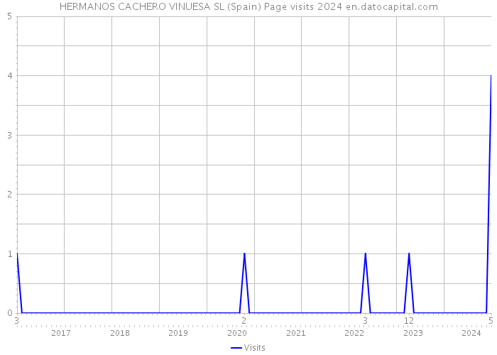 HERMANOS CACHERO VINUESA SL (Spain) Page visits 2024 