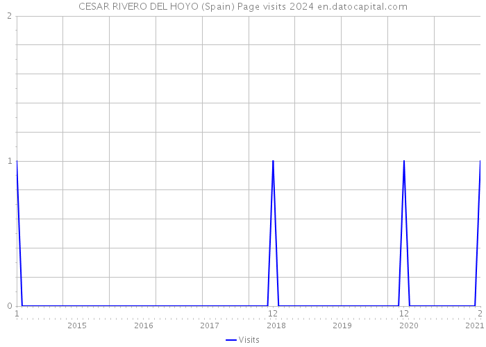 CESAR RIVERO DEL HOYO (Spain) Page visits 2024 