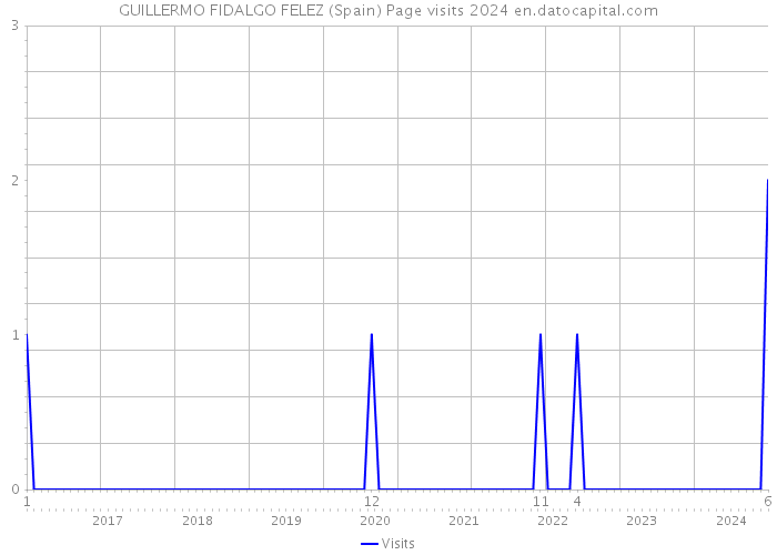 GUILLERMO FIDALGO FELEZ (Spain) Page visits 2024 