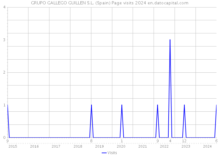 GRUPO GALLEGO GUILLEN S.L. (Spain) Page visits 2024 