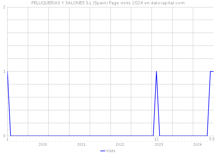 PELUQUERIAS Y SALONES S.L (Spain) Page visits 2024 