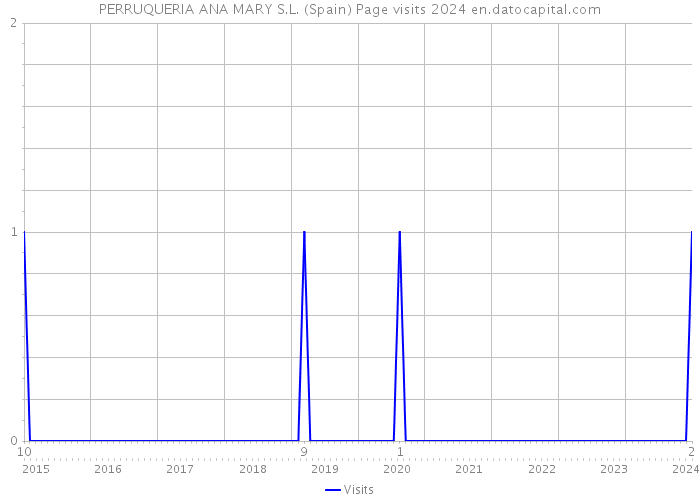 PERRUQUERIA ANA MARY S.L. (Spain) Page visits 2024 