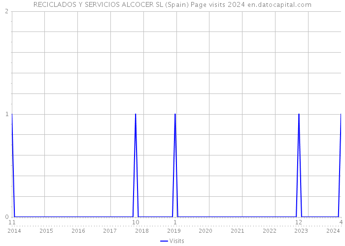 RECICLADOS Y SERVICIOS ALCOCER SL (Spain) Page visits 2024 