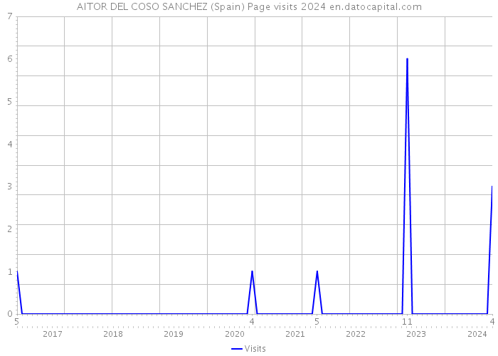 AITOR DEL COSO SANCHEZ (Spain) Page visits 2024 