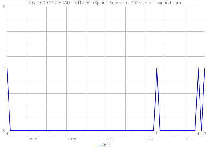TAGI 2000 SOCIEDAD LIMITADA. (Spain) Page visits 2024 