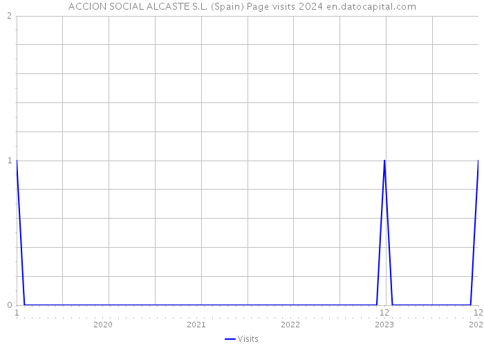 ACCION SOCIAL ALCASTE S.L. (Spain) Page visits 2024 