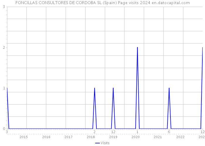 FONCILLAS CONSULTORES DE CORDOBA SL (Spain) Page visits 2024 